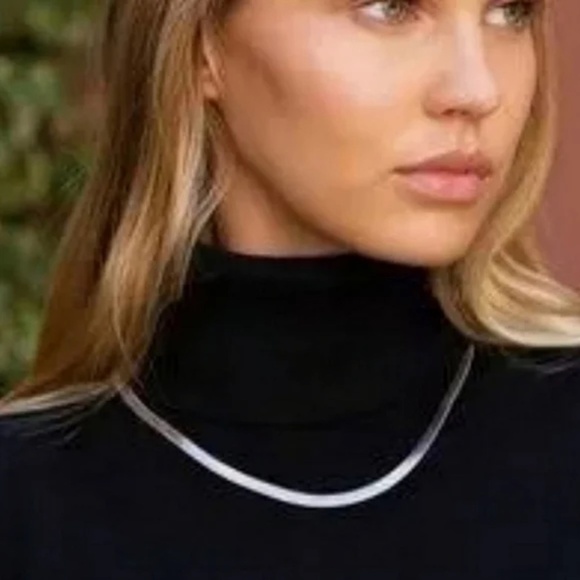 Jennifer Zeuner Silver Herringbone Necklace 14"-16" - Picture 1 of 10